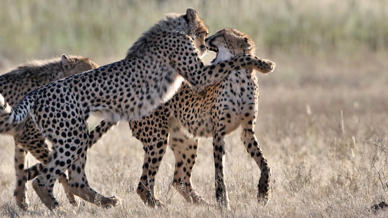 engagements-photography-05