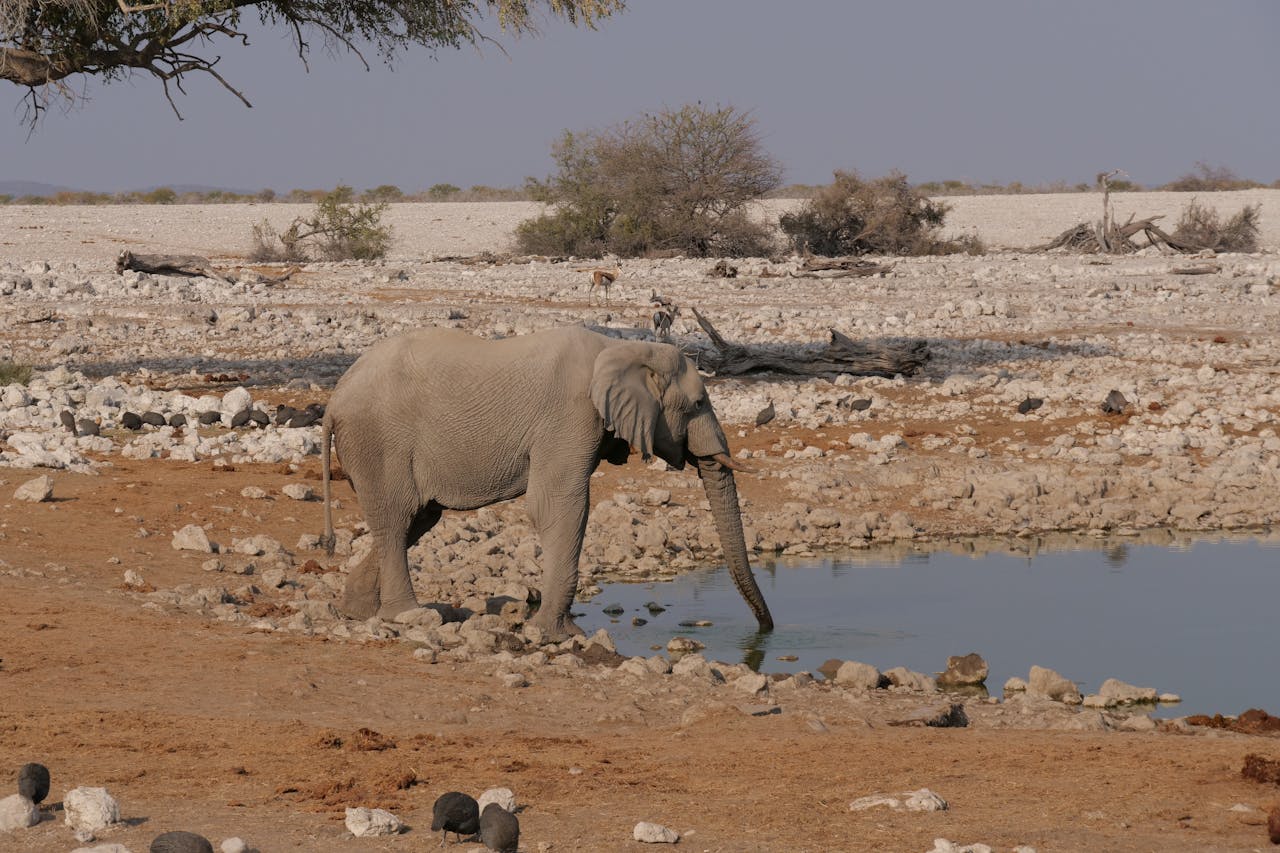 engagements-photography-06