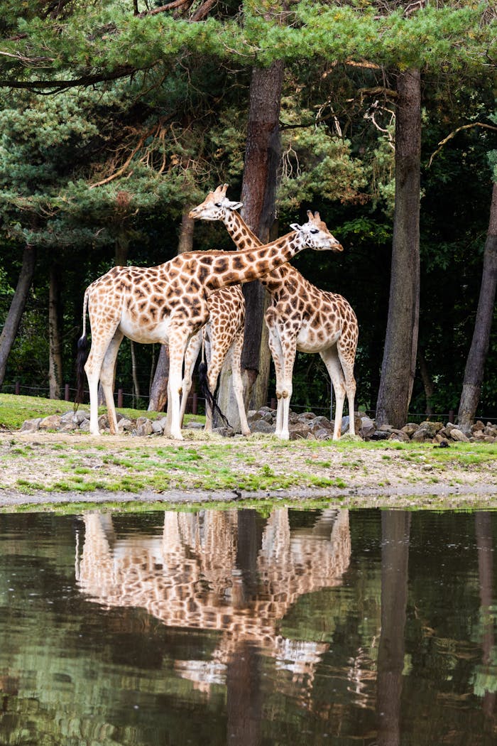 family-photography-01